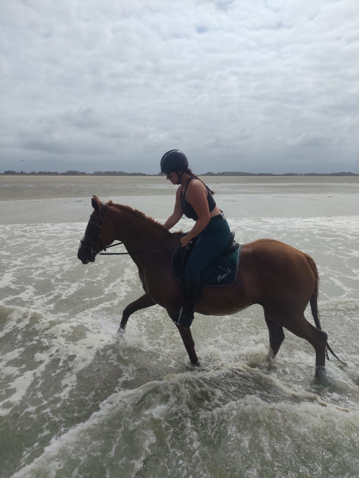 Balade équestre sur la plage, cheval dans les vagues