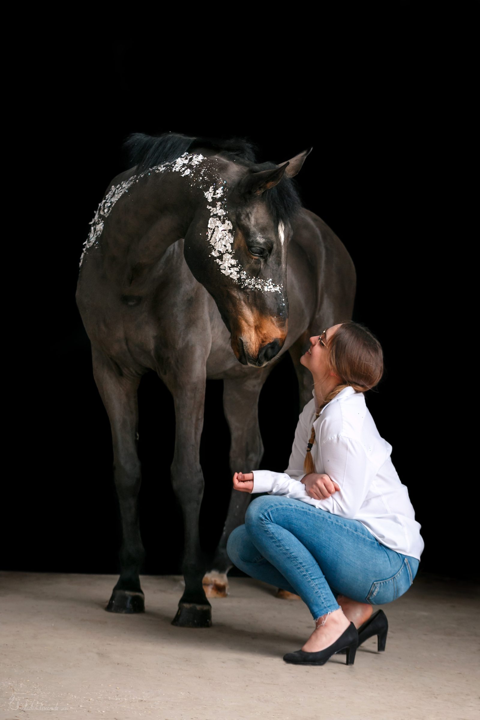 Travail monté en dressage sous un ciel clair