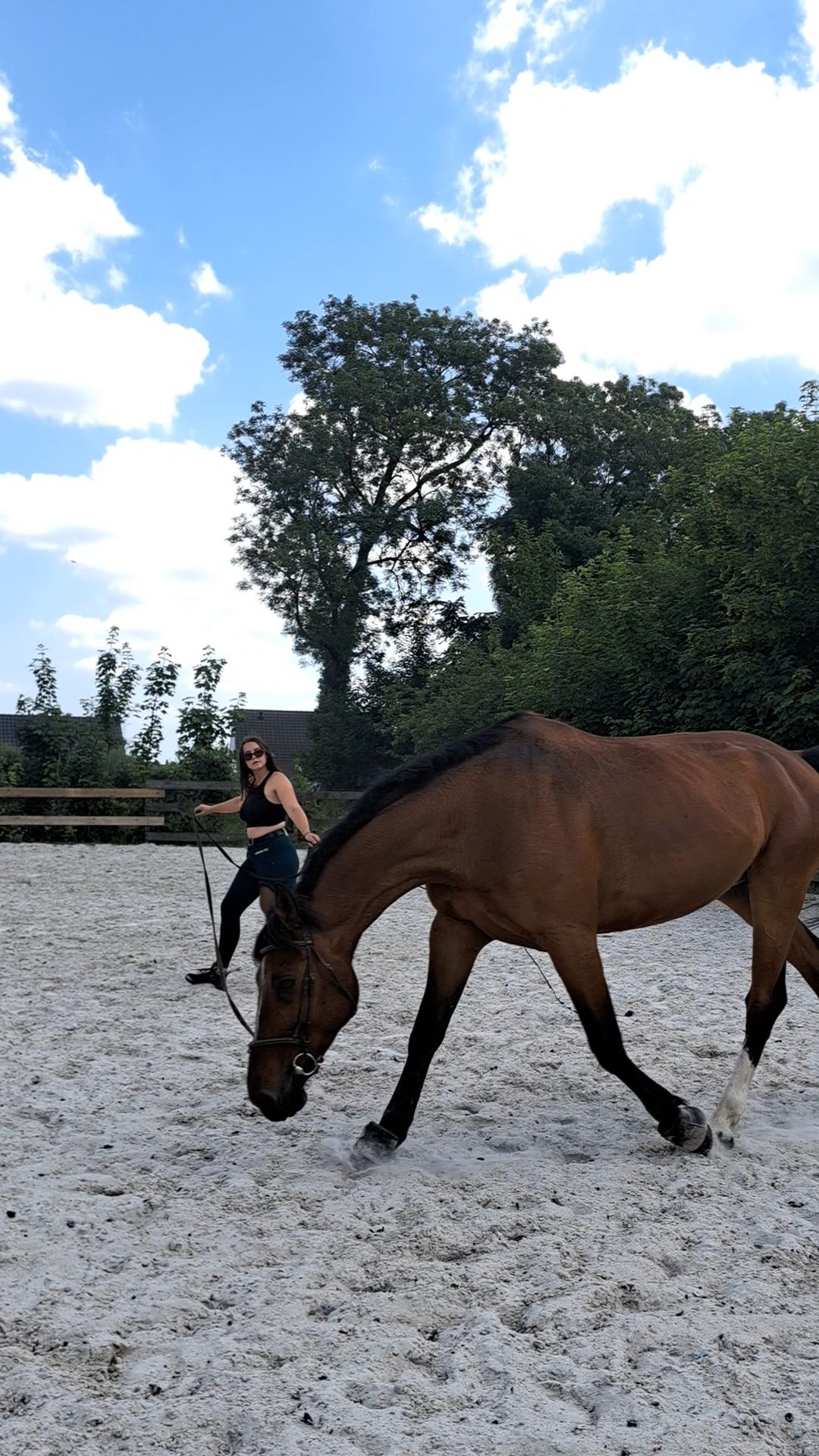 Bisou du cheval à sa cavalière, lien de confiance