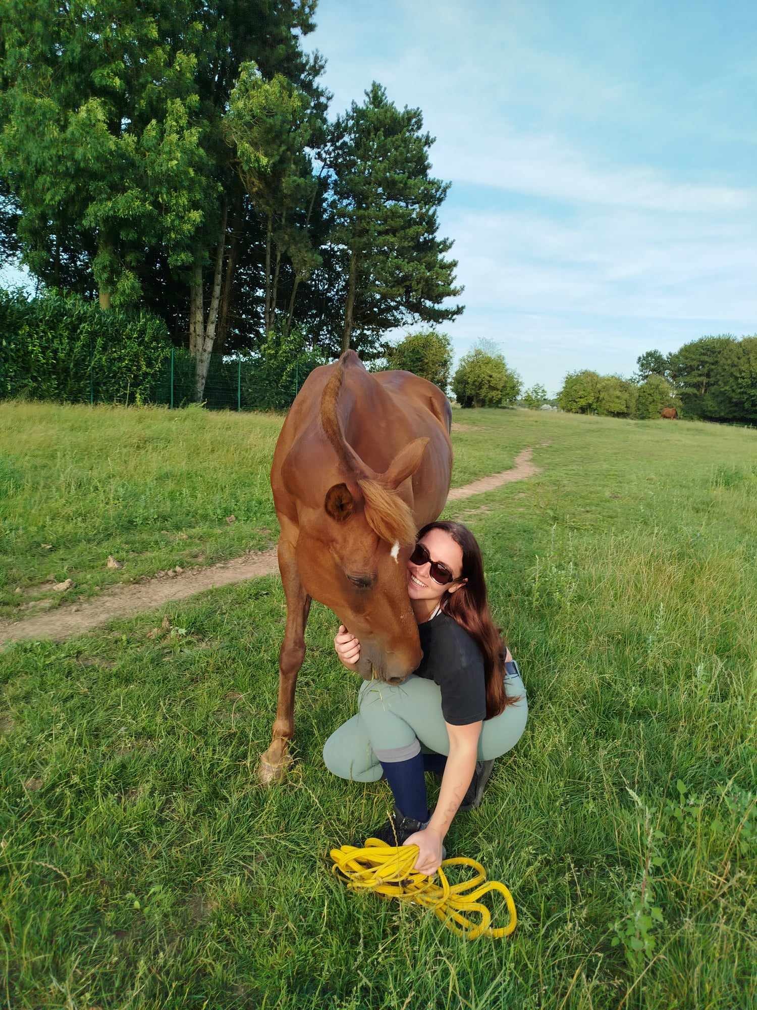 Manipulation et licol, cheval attaché aux écuries