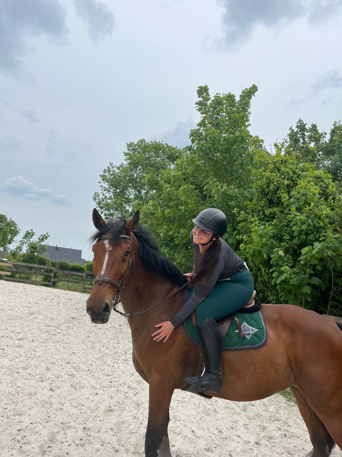 Cavalière soigneuse au travail avec son cheval, secteur d’Arras (62)